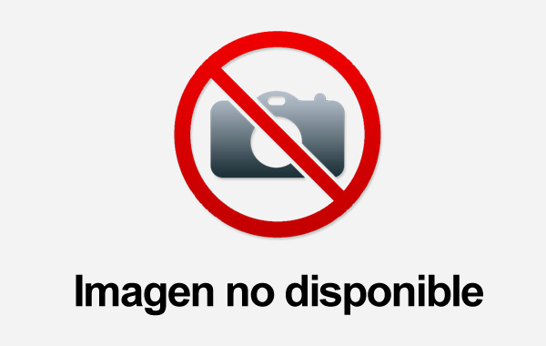 Cefalópodos